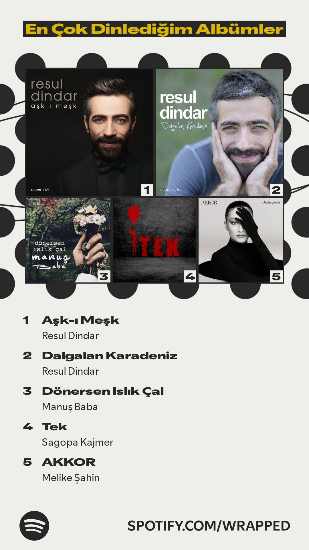 Spotify 2025 özeti 7