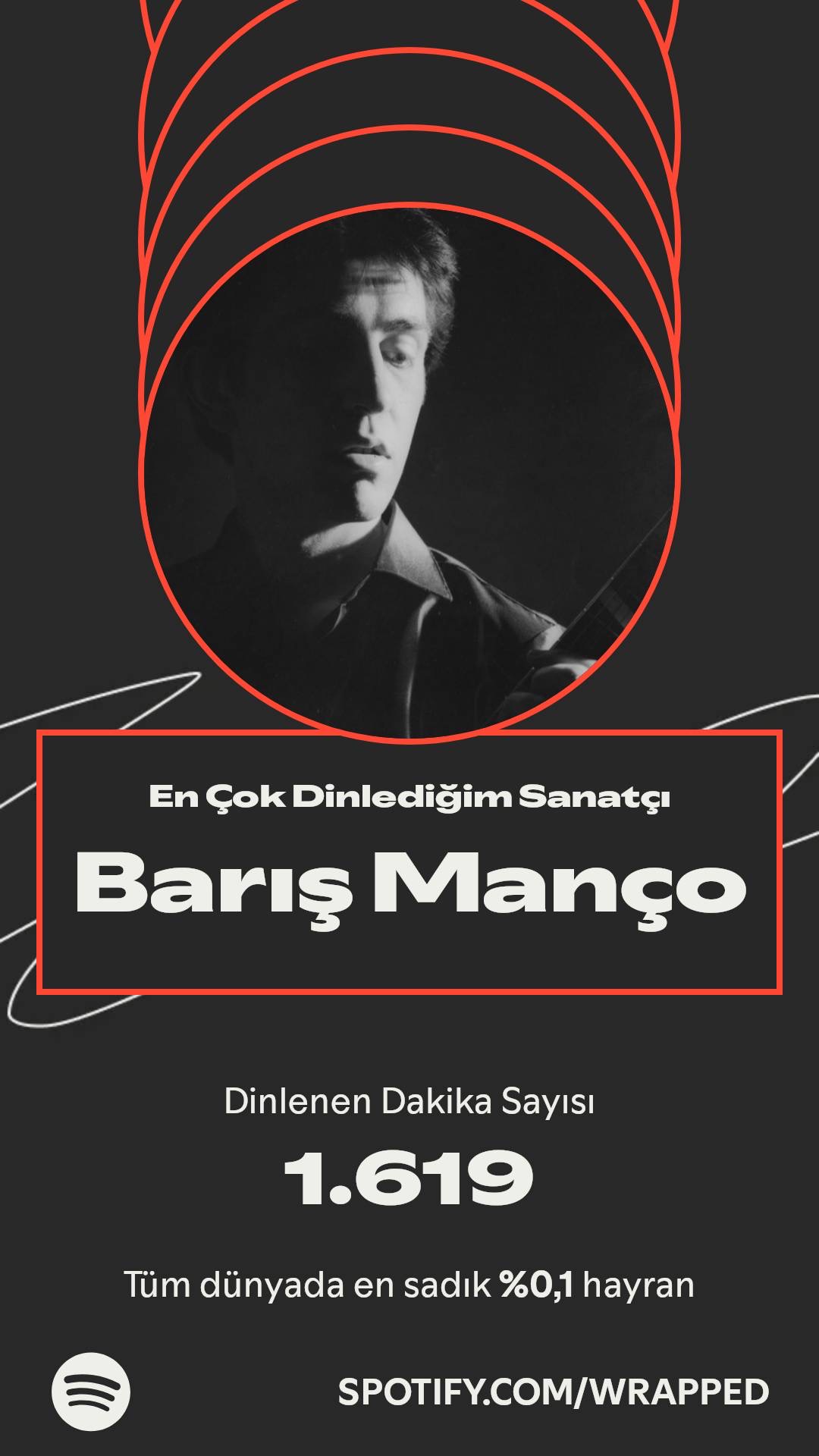 Spotify 2025 özeti 8