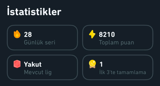 2021 Duolingo Raporum